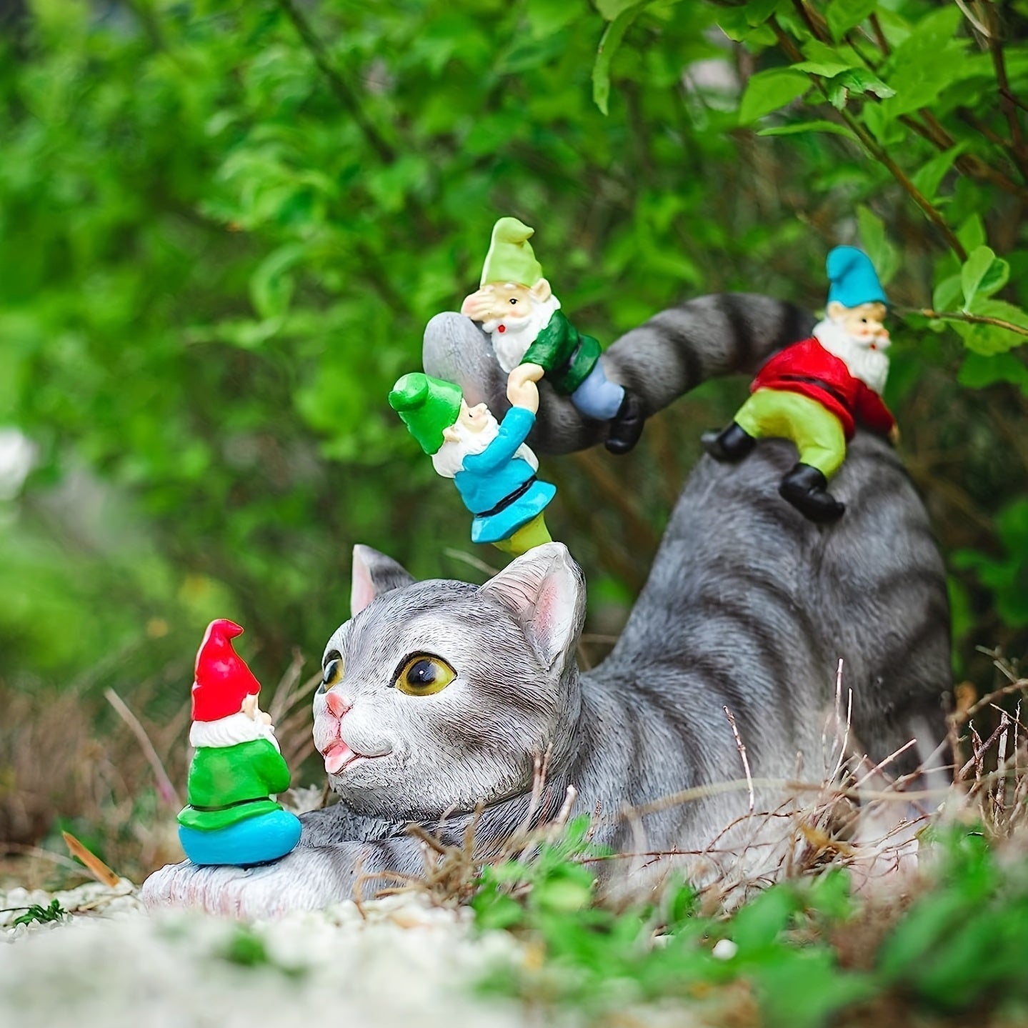 Chat Mignon avec Figurine de Nain de Jardin