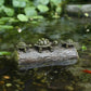 Sculpture Flottante d'Étang à Tortues