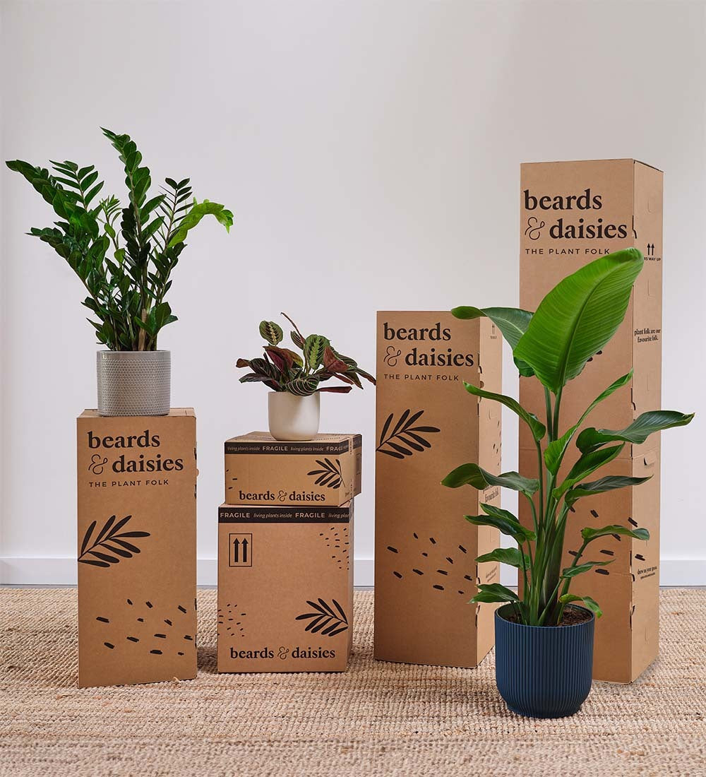 Anthurium Pêche, Pot et Bougie - Plantes Artificielles